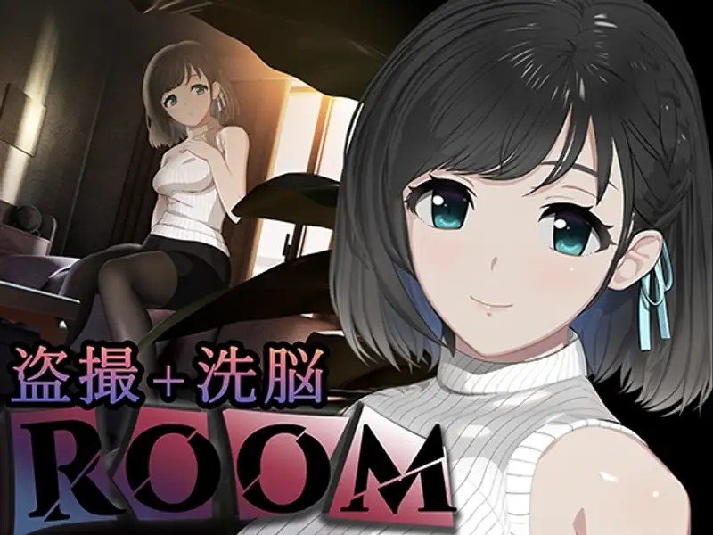 ROOM ROOM免费下载角色路线常见问题 封面图